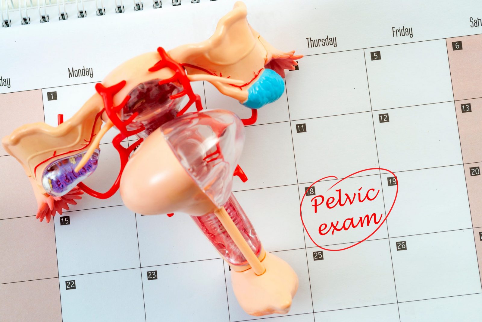 annual gyn exam